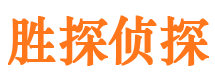 莲都市私人侦探